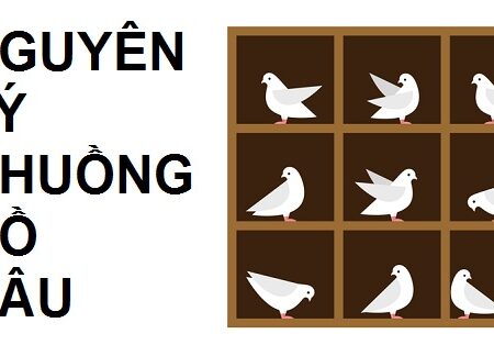 Nguyên lý chuồng bồ câu là gì?